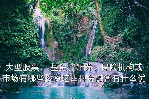 大型股票、 基金、證券、保險(xiǎn)機(jī)構(gòu)或市場(chǎng)有哪些投資這四種金融各有什么優(yōu)...