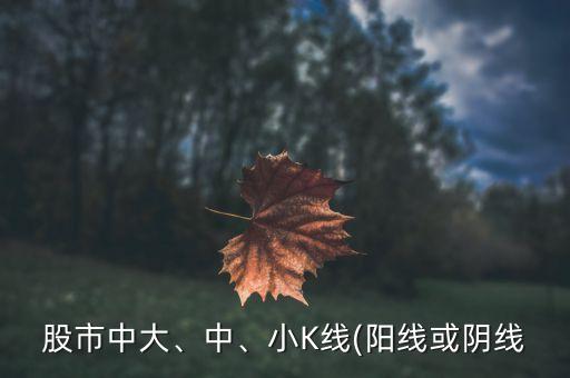 股市中大、中、小K線(陽(yáng)線或陰線