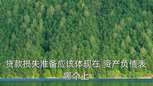 貸款損失準(zhǔn)備應(yīng)該體現(xiàn)在 資產(chǎn)負(fù)債表哪個上