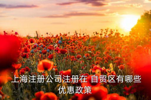  上海注冊公司注冊在 自貿區(qū)有哪些優(yōu)惠政策