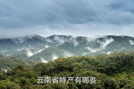 云南省特產有哪些