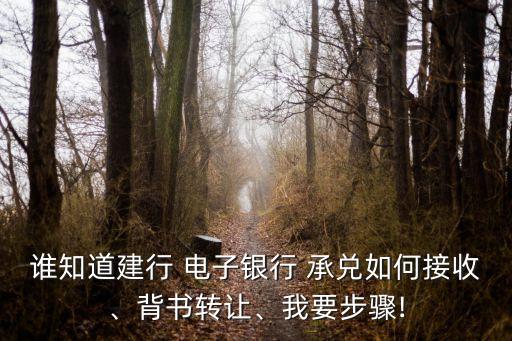 誰(shuí)知道建行 電子銀行 承兌如何接收、背書(shū)轉(zhuǎn)讓、我要步驟!