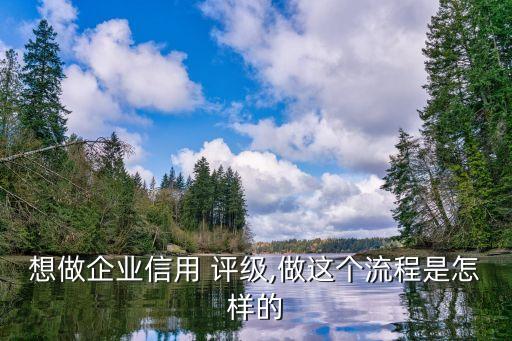 想做企業(yè)信用 評級,做這個(gè)流程是怎樣的