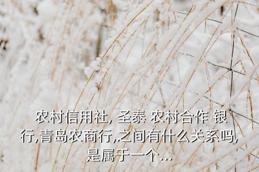  農(nóng)村信用社, 圣泰 農(nóng)村合作 銀行,青島農(nóng)商行,之間有什么關系嗎,是屬于一個...