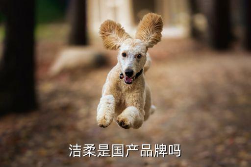 潔柔是國產品牌嗎