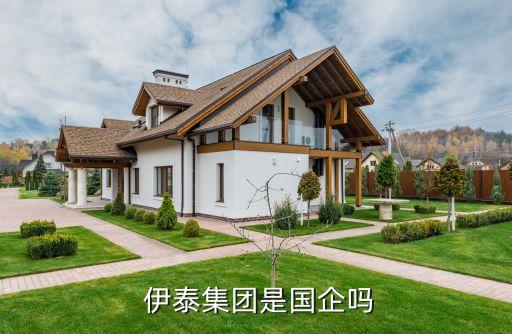  伊泰集團是國企嗎