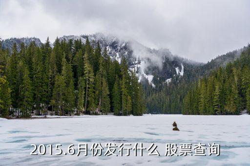 2015.6月份發(fā)行什么 股票查詢(xún)