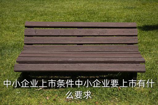 小公司發(fā)行股票,公司發(fā)行股票數量如何確定