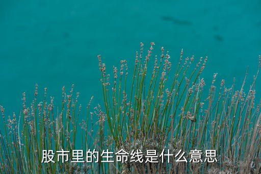 股市里的生命線(xiàn)是什么意思