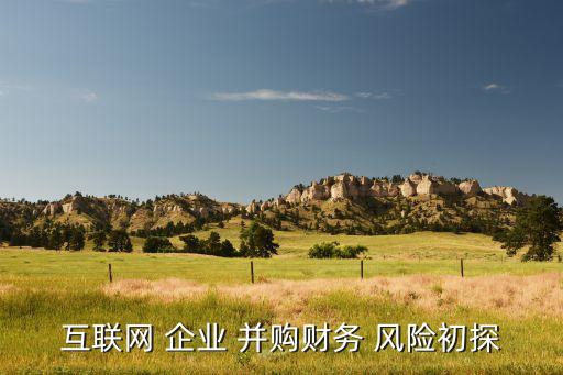互聯(lián)網(wǎng) 企業(yè) 并購財(cái)務(wù) 風(fēng)險初探