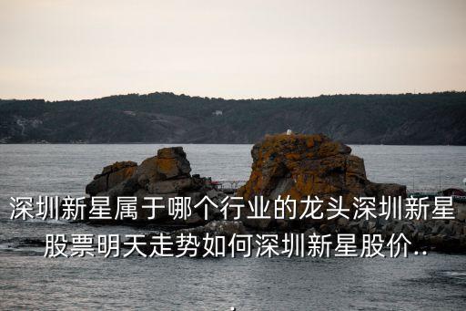 深圳新星屬于哪個行業(yè)的龍頭深圳新星 股票明天走勢如何深圳新星股價(jià)...
