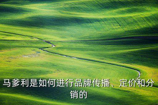 馬爹利是如何進(jìn)行品牌傳播、定價(jià)和分銷的