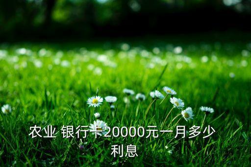 銀行卡里存2萬(wàn)塊錢有多少利息