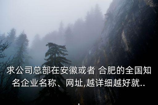 求公司總部在安徽或者 合肥的全國知名企業(yè)名稱、網(wǎng)址,越詳細(xì)越好就...