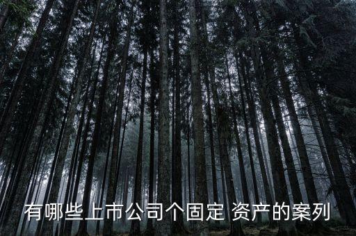 有哪些上市公司個固定 資產的案列