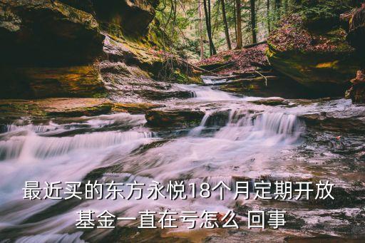 最近買的東方永悅18個(gè)月定期開(kāi)放 基金一直在虧怎么 回事