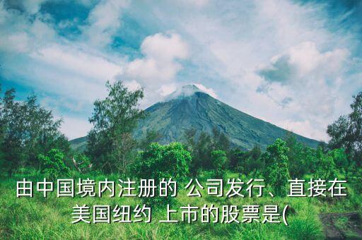 由中國(guó)境內(nèi)注冊(cè)的 公司發(fā)行、直接在美國(guó)紐約 上市的股票是(