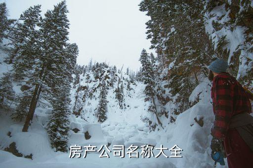 房產公司名稱大全