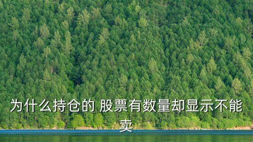 為什么持倉(cāng)的 股票有數(shù)量卻顯示不能賣