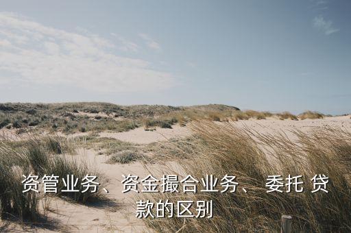 資管業(yè)務(wù)、資金撮合業(yè)務(wù)、 委托 貸款的區(qū)別