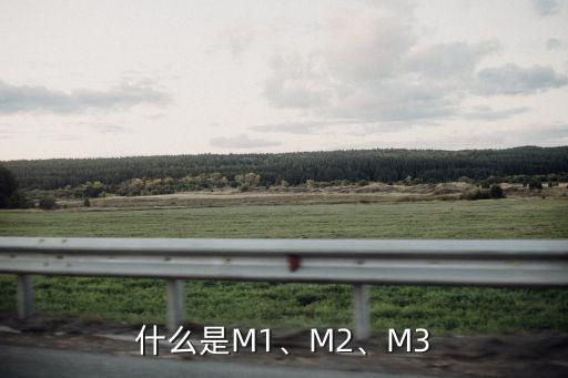 什么是M1、M2、M3