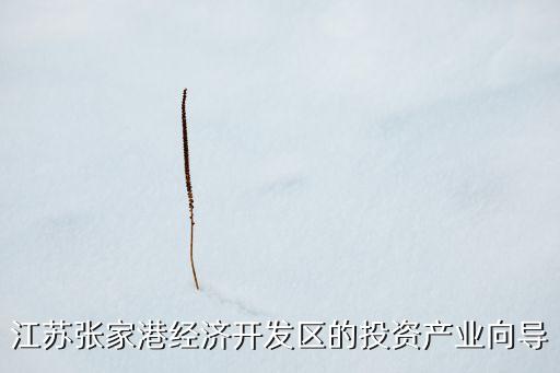 江蘇張家港經(jīng)濟開發(fā)區(qū)的投資產(chǎn)業(yè)向導