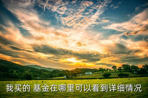 我買的 基金在哪里可以看到詳細情況