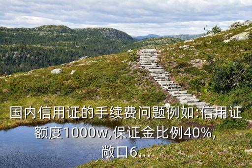 國內信用證的手續(xù)費問題例如:信用證額度1000w,保證金比例40%,敞口6...