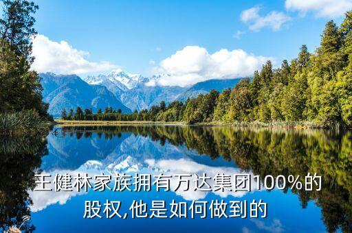  王健林家族擁有萬達集團100%的股權,他是如何做到的