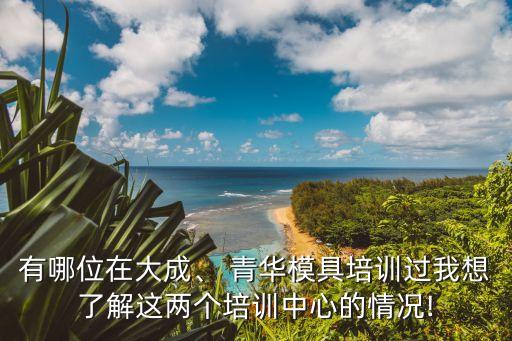 有哪位在大成、 青華模具培訓(xùn)過我想了解這兩個(gè)培訓(xùn)中心的情況!