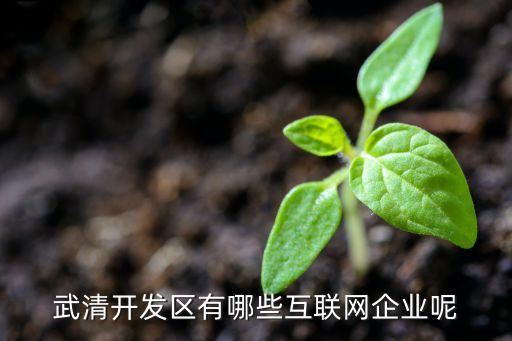 武清開發(fā)區(qū)有哪些互聯(lián)網企業(yè)呢