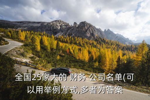 全國25家大的 財(cái)務(wù) 公司名單(可以用舉例方式,多者為答案