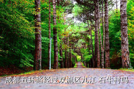 威遠石牛集團,石?；ぜ瘓F