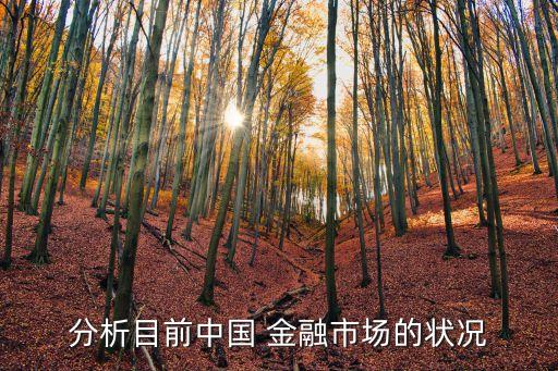 分析目前中國 金融市場(chǎng)的狀況