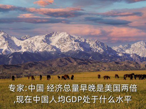 專家:中國 經濟總量早晚是美國兩倍,現在中國人均GDP處于什么水平