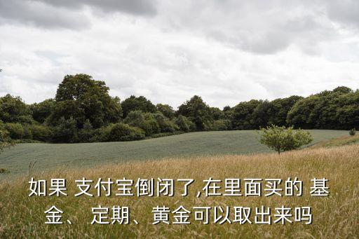 如果 支付寶倒閉了,在里面買的 基金、 定期、黃金可以取出來嗎