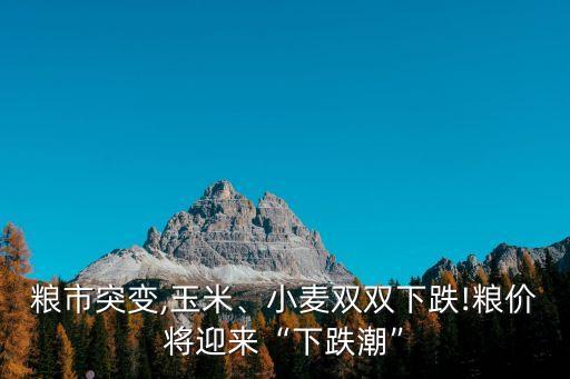 糧市突變,玉米、小麥雙雙下跌!糧價(jià)將迎來“下跌潮”