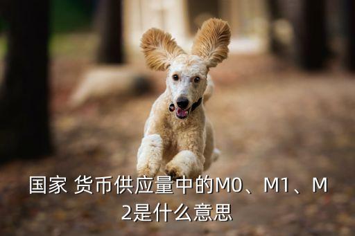 國家 貨幣供應(yīng)量中的M0、M1、M2是什么意思