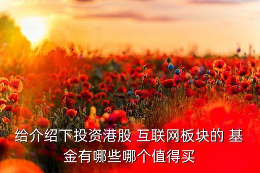 給介紹下投資港股 互聯(lián)網板塊的 基金有哪些哪個值得買