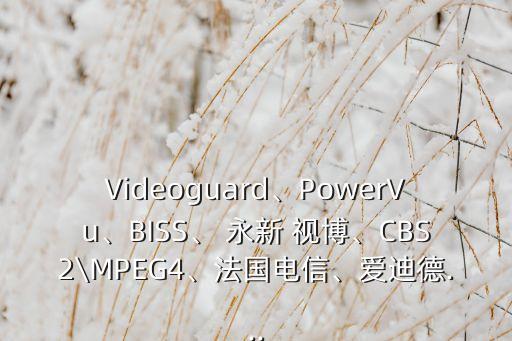 Videoguard、PowerVu、BISS、 永新 視博、CBS2\MPEG4、法國電信、愛迪德...