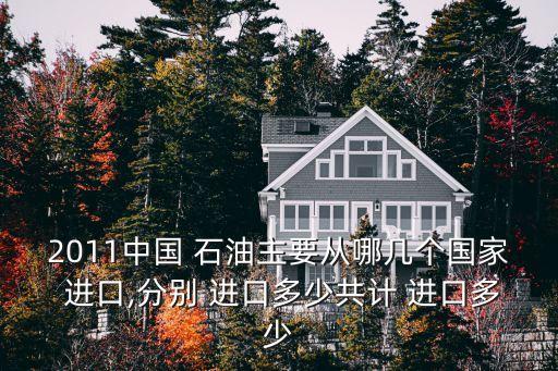 2011中國 石油主要從哪幾個(gè)國家 進(jìn)口,分別 進(jìn)口多少共計(jì) 進(jìn)口多少