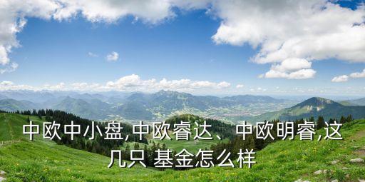 中歐中小盤(pán),中歐睿達(dá)、中歐明睿,這幾只 基金怎么樣