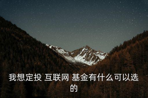 我想定投 互聯(lián)網 基金有什么可以選的