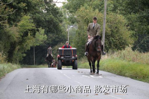 上海自貿區(qū)有批發(fā)嗎,上海臨港自貿區(qū)