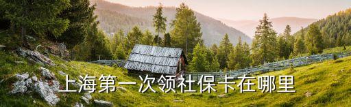  上海第一次領(lǐng)社?？ㄔ谀睦? class=