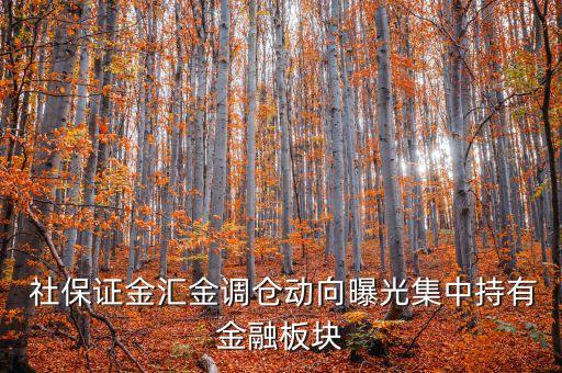 2014年二季度社?；鹬貍}股票