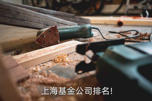 上海嘉上投資,上?；煦缤顿Y