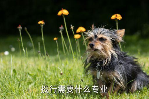 投行需要什么專(zhuān)業(yè)