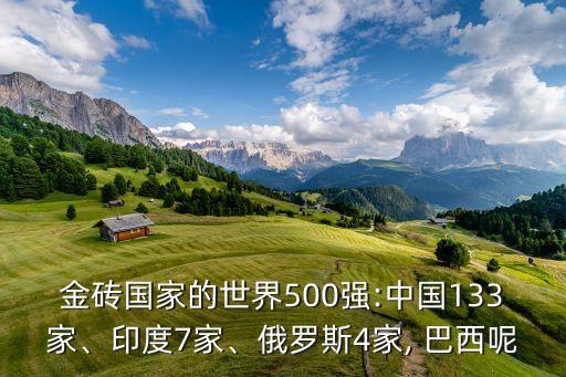 金磚國家的世界500強:中國133家、印度7家、俄羅斯4家, 巴西呢