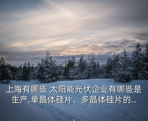 上海有哪些 太陽(yáng)能光伏企業(yè)有哪些是生產(chǎn),單晶體硅片、多晶體硅片的...